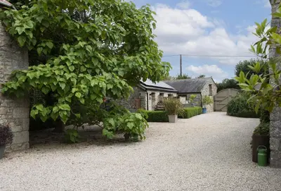 a house with a large tree in front of a driveway at The Old Dairy in Camborne