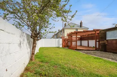 a tree in a yard next to a white wall at 119 Henver Road in Newquay