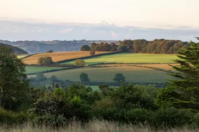 a green field with trees in the distance at Nuthatch by Together Travel - Luxury Cornish Countryside Retreat in Bodmin