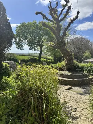a garden with two trees and a stone path at Cobble by Together Travel - Luxury Cornish Countryside Retreat in Bodmin