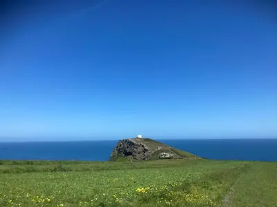 a small island in the middle of a field with the ocean at Zen Den Cornwall in Boscastle