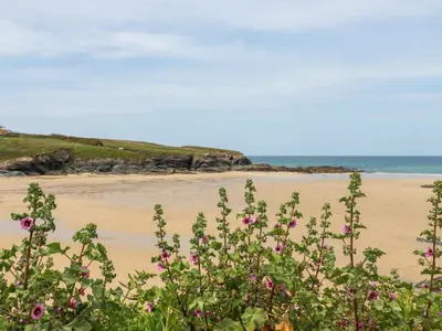a beach with pink flowers in the foreground at High Cove in Padstow
