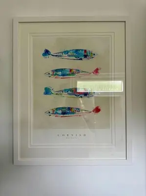 a framed picture of four fish in a glass case at Willow Lodge in Helston