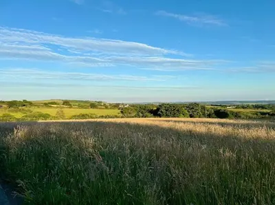a field of tall grass with a blue sky at Willow Lodge in Helston