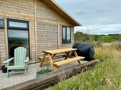 a wooden cabin with a picnic table and a chair at Willow Lodge in Helston