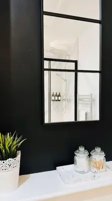 a bathroom with a mirror and a white sink with a plant at St Mary's Mews in Truro