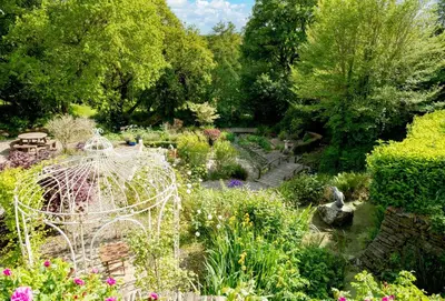 a garden with a lot of plants and flowers at Honey Pot in Liskeard