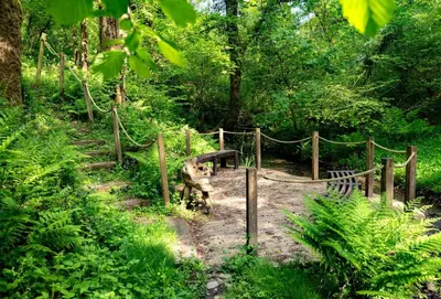a wooden path with a bench in a forest at Blackberry Barn in Liskeard