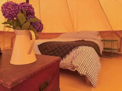 a vase with purple flowers sitting on a table at Furnished Bell Tent 1 in St Austell