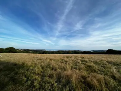 a field of tall grass with a blue sky at Barrel Cabin 1 in St Austell