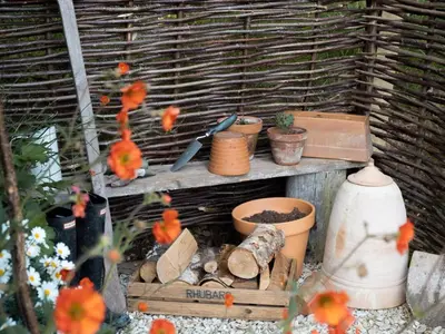 a display of plants and flowers in a garden at Moonshine in Truro