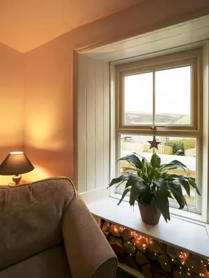 a living room with a plant and a window at St Peters Cottage in Port Isaac