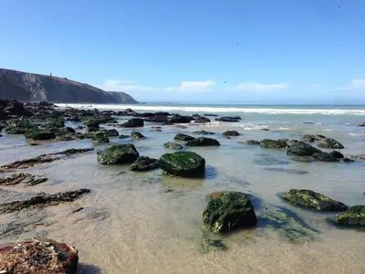 a beach with rocks in the water and the ocean at Anemone in Porthtowan