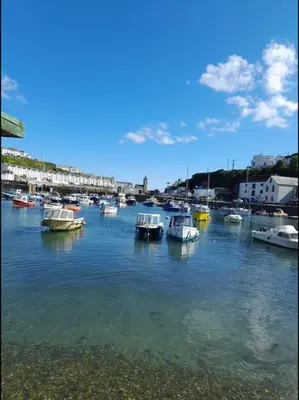 a group of boats docked in a harbor at Small self contained room in Porthleven