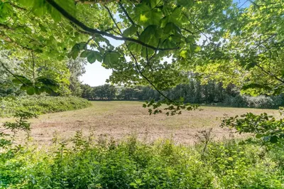 a field of grass with trees in the background at 2 Bed in Trewoon oc-t29503 in St Austell