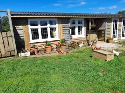 a backyard with potted plants and a house at Puddle Duck Peeps Out Chalet in Saint Martin
