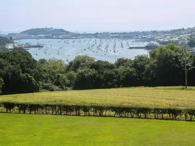 a field of vines with a view of a harbor at The Crows Nest in Falmouth