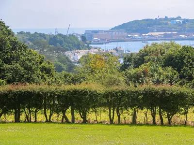 a row of trees in a field with a view of the water at The Crows Nest in Falmouth