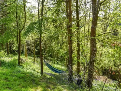 a hammock in the middle of a forest at The Shepherds Hut At Rosewood House in Liskeard