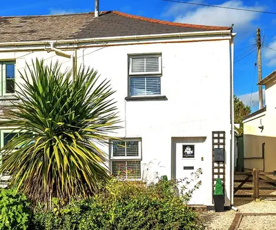 a white house with a palm tree in front of it at Fowey, quaint cottage near sea in Fowey
