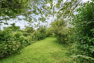 a path through a garden with trees and grass at Fowey, quaint cottage near sea in Fowey