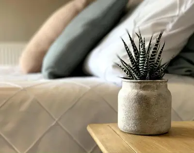 a plant in a vase sitting on a table at Countryside Cabin in Private Setting in Redruth