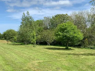 a grassy field with trees in the background at Countryside Cabin in Private Setting in Redruth
