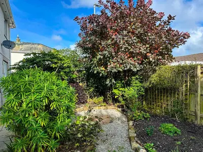a garden with a large tree with red flowers at Chestnut House in Saint Columb Minor