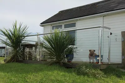 a dog sitting on a porch of a house at Wee Cott in Hayle
