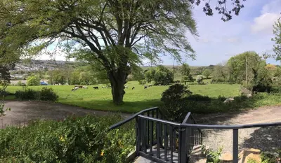 a staircase leading down to a field with a tree at Stunning getaway in Wadebridge, Cornwall in Wadebridge