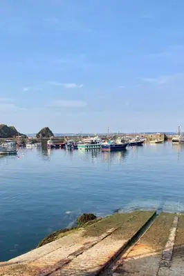 a group of boats are docked in a harbor at Holiday Home Elm Cottage by Interhome in Mevagissey