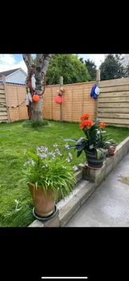 a garden with three potted plants and a fence at Seashells in Padstow