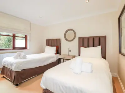 a bedroom with two beds and a mirror at Clematis - Lodge 16 in Wadebridge