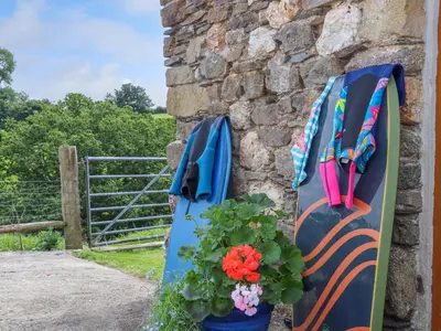 two surfboards leaning against a stone wall with a plant at Skiber Long in Callington