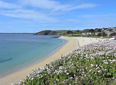 a beach with white flowers on the shore at The Cuckoo's Nest - A Romantic & Peaceful Hideaway in Kenwyn