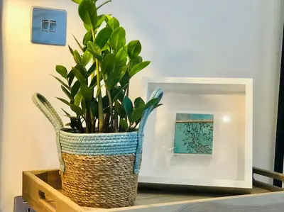 a plant in a basket sitting on a table next to a mirror at The Cuckoo's Retreat - Luxurious home with private garden & jacuzzi in Kenwyn