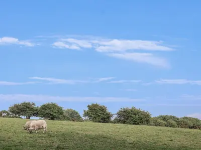 two animals grazing on a grassy hill in a field at The Hayloft in Liskeard