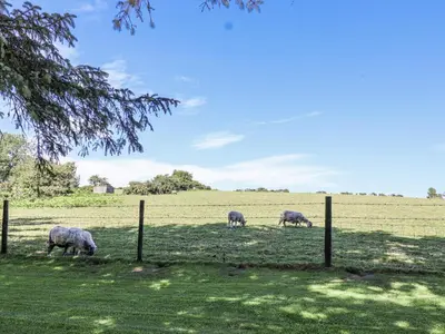 three sheep grazing in a field behind a fence at The Byre in Liskeard