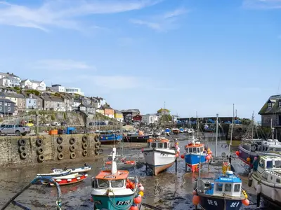 a bunch of boats are docked in a harbor at Harbour Reach in Mevagissey
