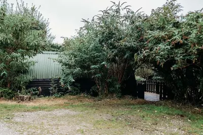 a fence and trees in front of a building at Wild Wren - A Nordic Getaway in Callington