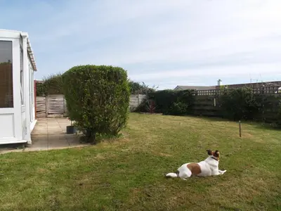 a brown and white dog laying in the grass at Itldo in Truro