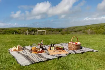 a picnic on a blanket in a field at Bligh - Treworgie Barton Cottages in Bude