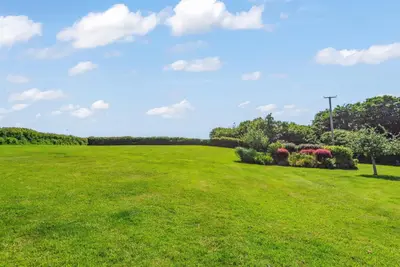 a large field with green grass and flowering bushes at The Dairy in Liskeard