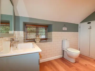a bathroom with a sink and a toilet at Willow View in Wadebridge