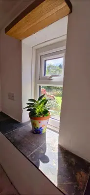 a plant sitting on a counter in front of a window at Cottage in Newquay