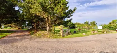a tree on the side of a road with a fence at Cottage in Newquay
