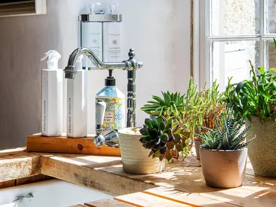 a kitchen counter with potted plants and a faucet at Number One in Mevagissey