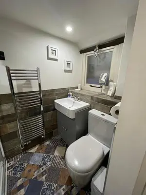 a bathroom with a toilet and a sink at Guillemot Holiday Flat in Looe