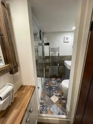 a bathroom with a shower and a toilet at Guillemot Holiday Flat in Looe
