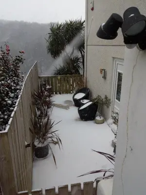 a snow covered yard with plants and a fence at Gunnado in St Austell